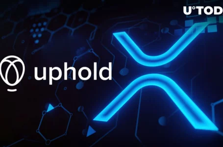 XRP Community Confused by Uphold’s Announcement