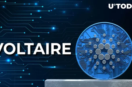 Cardano (ADA) Voltaire Era to Be Launched Following Three Major Steps: Details