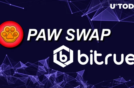Shiba Inu’s PawSwap (PAW) Listed on Bitrue, Price Soars 85%