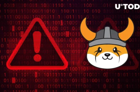 Scam Alert: Floki Inu Warns Community of ‘Scam FLOKI Airdrop’ – Details