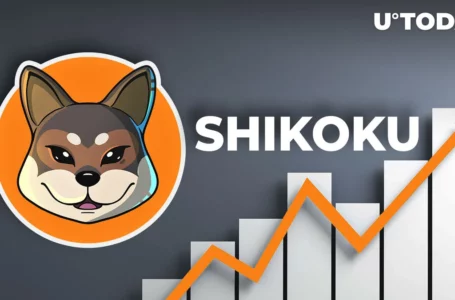 New Shiba Inu Clone Shikoku up 68%, Here’s Reason