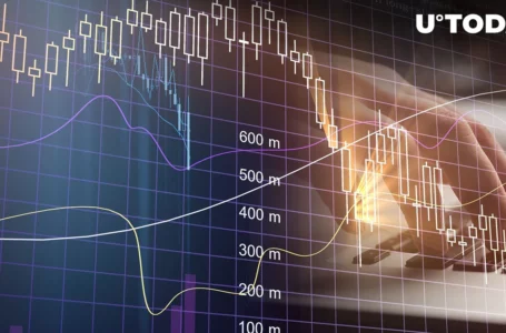 Market Faces $245 Million in Liquidations, Here’s What’s Happening