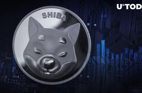 Shiba Inu (SHIB) Price Crashes After Another Multimillion Dollar Dump