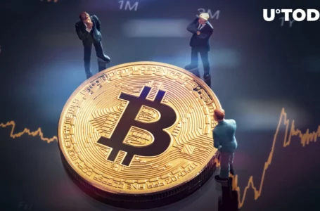 Bitcoin Miners Foresaw Current BTC Plunge, Analyst Says – Here’s What Happened