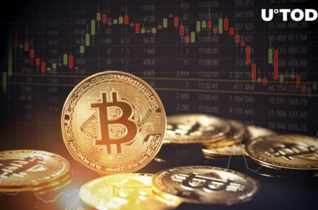 $13,000 per Bitcoin (BTC)? Analyst Warns This Might Happen