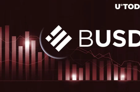 Binance Issued BUSD Market Cap Loses 45% Amid FUD Around Exchange