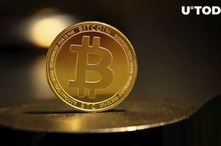 Bitcoin (BTC) Can Have Its Own Rollups – Or No?