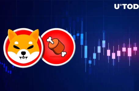 Shiba Inu’s BONE Price Presents This Recovery Scenario, Here’s What It Is