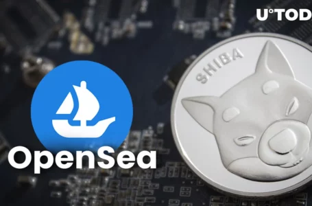 Shiba Inu (SHIB) Creator Name Revealed Thanks to OpenSea