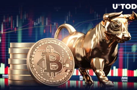 Bitcoin (BTC) Bullish for Former ARK Invest Crypto Expert, Here’s Why