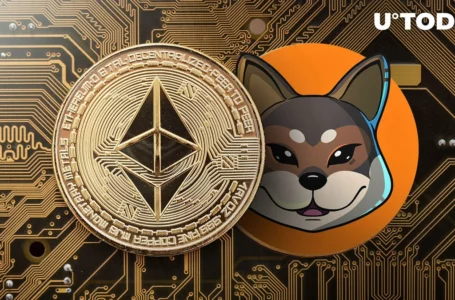 Traders Made 186 ETH on Massive Shiba Inu-Inspired SHIKOKU 96% Drop Fueled by Vitalik Buterin