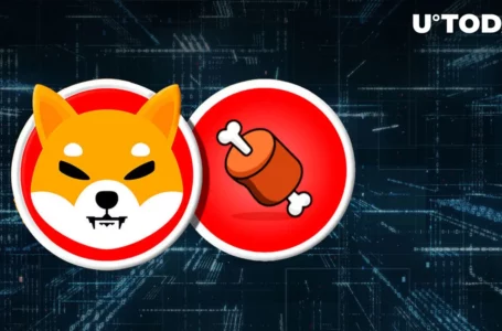 Shiba Inu: Bone ShibaSwap Token Soars as It Lands New Exchange Listing