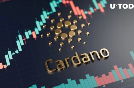 Cardano (ADA) 4-Month Holdings Are on Move, Here’s Who’s Cashing Out