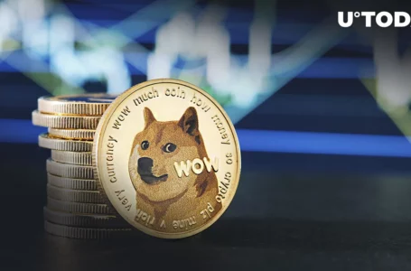 Here’s What Happened to Dogecoin Creator’s Fortune After DOGE Lost ATH