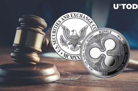 Ripple v. SEC: Expert Shares Key Takeaways from Judge’s Ruling on Testimony Admissibility