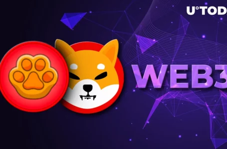 Shiba Inu-Supporting PAW Added by First Web 3.0 Exchange, Deposits Suddenly Suspended