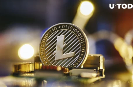 Litecoin (LTC) Outranks Dogecoin by Total Transaction Count, Here’s Reason