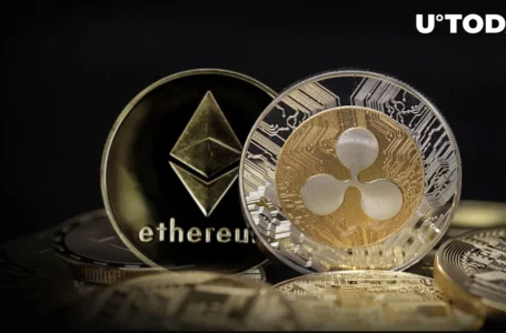 Pro-Ripple Lawyer Calls Ethereum (ETH) Holders to Action in Wake of This Incident