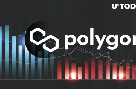Polygon’s (MATIC) Drop Under Crucial Support Level May Cause Further Price Fall: Analyst