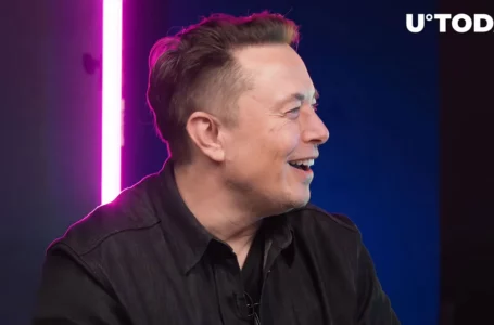 Elon Musk Trolls Those Who Call Crypto a Scam as Two Major Banks Crash