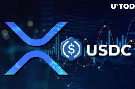 XRP Used as Solution by Blockchain Financial Service to Convert Funds During USDC Depeg