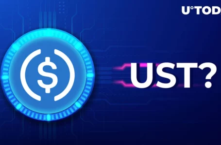 Is USDC Another UST? DeFi Analyst Shares His Take