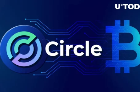 Is Circle’s USDC Stablecoin Crisis a Blessing in Disguise for Bitcoin?
