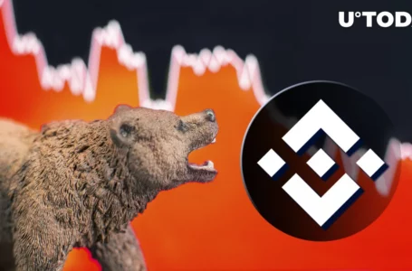 Binance Delivers $1 Billion Blow to Crypto Bears