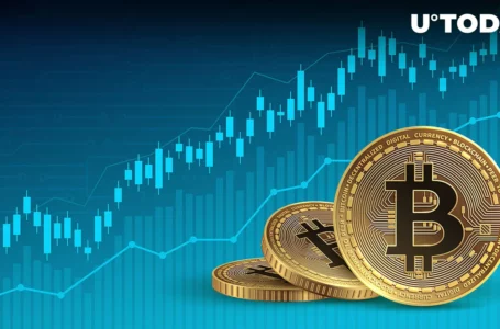 Bitcoin (BTC) up 7%, But Data Shows We Are Not out of Woods Yet