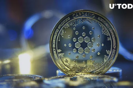 Cardano (ADA) Price Growth Lags, Here’s What Can Drive Short-Term Growth