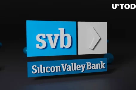 Ex-Ripple Advisor Appointed by Fed to Watch Over Failed Silicon Valley Bank (SVB)