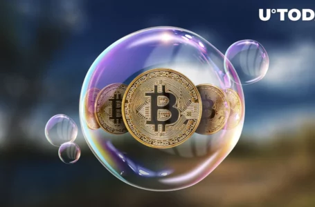 Bitcoin (BTC) Just Another Bubble: IFF Economist