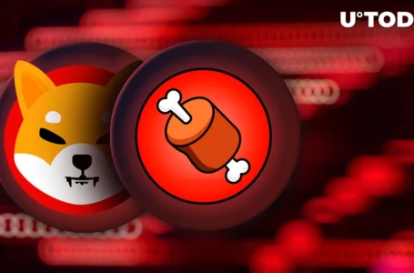 $5 Million BONE Unstaked, Users Massively Leaving Shiba Inu Ecosystem