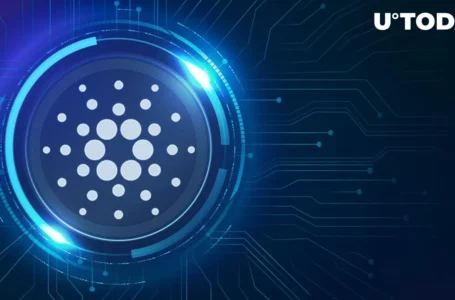 Cardano to Receive Fundamental Update