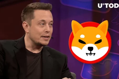 Elon Musk’s Meme Tweet Causes This Reaction of Shiba Inu Lead