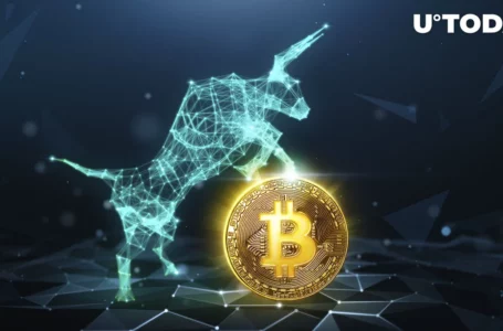 Bitcoin (BTC) Headed for Another Bullish Weekend, According to This Rare Pattern: Analyst