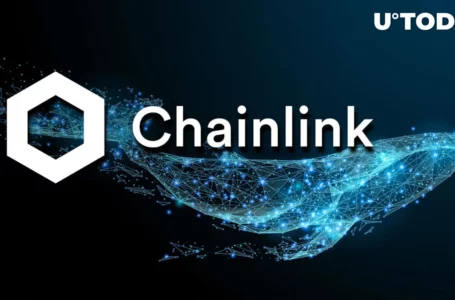 Massive LINK Transfer From Binance by Chainlink Whales, Here’s What It Signals