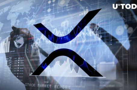 XRP Interests Traditional Investors, Funds Flows up 33% in Seven Days