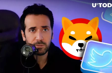 Shiba Inu (SHIB) at $0.01 Bet Remains in Force for David Gokhshtein