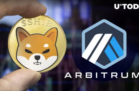 Shiba Inu (SHIB) Offshoot on Arbitrum (ARB) up 216%, Here Are Two Key Reasons Why