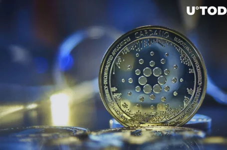 Cardano (ADA) up 13%, Here Are Possible Reasons