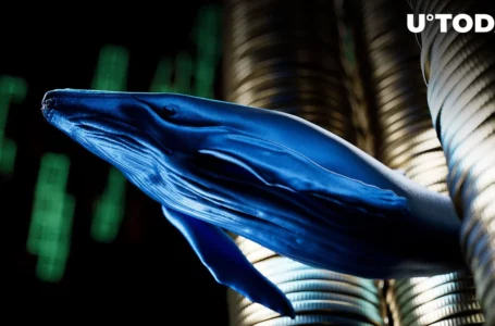 Tens of Millions of USD Saved by Mysterious Whale During FTX Crash and USDC Depeg: Details