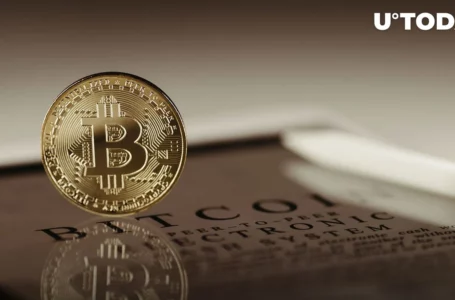 Author of Bitcoin Globally Bestselling Book Rejects $1 Million per BTC Forecast, Here’s Why