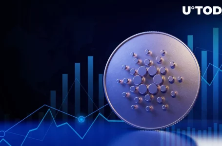 Cardano Native Assets Surpass 8 Million Mark as Ecosystem Sees Fundamental Growth