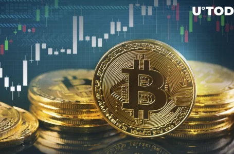 As Bitcoin (BTC) Approaches $29,000, This Professor Warns Rally Might Fizzle Out