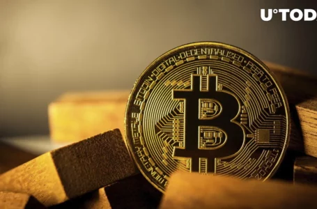 IFF Economist Mocks Bitcoin’s Lack of Diversification Attributes