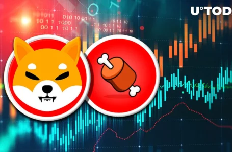Shiba Inu Rival SHIBONE INU up 57%, Here’s Why This Growth Is Different