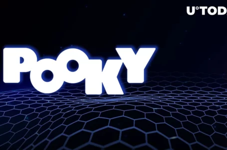 Pooky App Launches Play-to-Earn Game in Mainnet