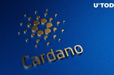 Cardano (ADA): Here Are 3 Key Levels You Have to Watch