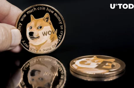 Dogecoin (DOGE) Building Block Receives New Update: Details